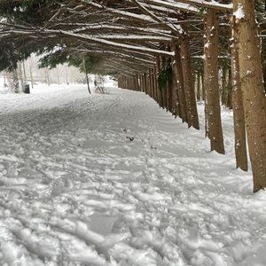 Meet your Posher, Muriel